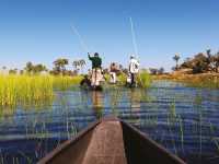 South Africa, Namibia, Botswana Safari |  Peter Walton