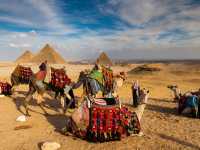 Pyramids of Giza near Cairo |  Richard I'Anson