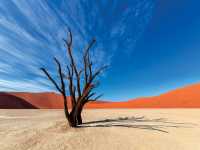 Colours of Deadvlei |  Peter Walton