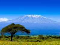 Trekking to Mt Kilimanjaro is a challenging yet rewarding feat