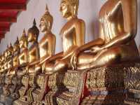 A row of Buddha statues