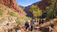 Walking on the Larapinta Trail |  Luke Tscharke