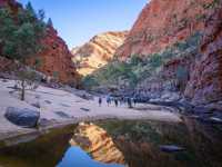 Hiking through Ormiston Gorge |  Luke Tscharke